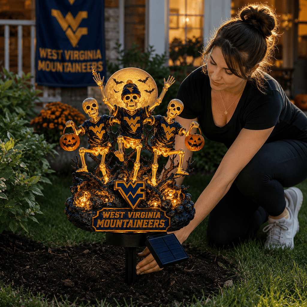 Premium WVM Solar Garden Light HQH